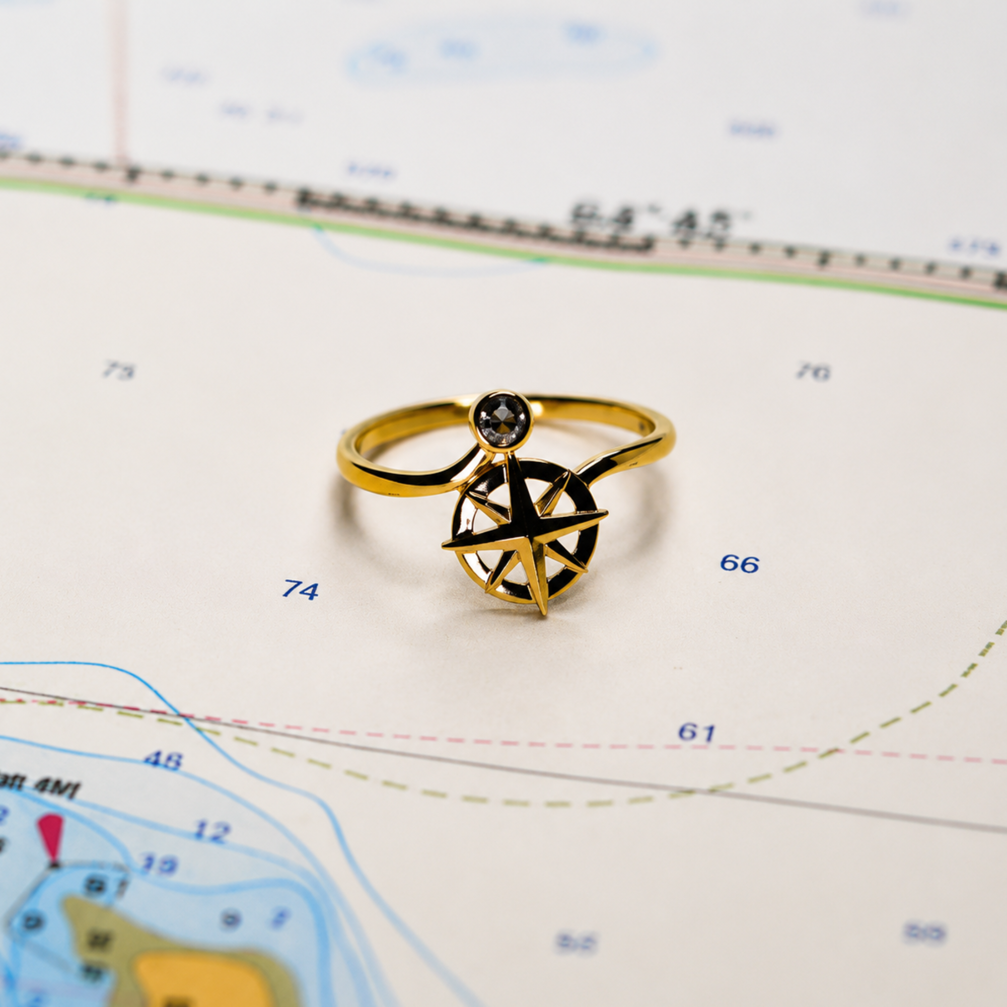 14kyg Lab Diamond Compass Ring