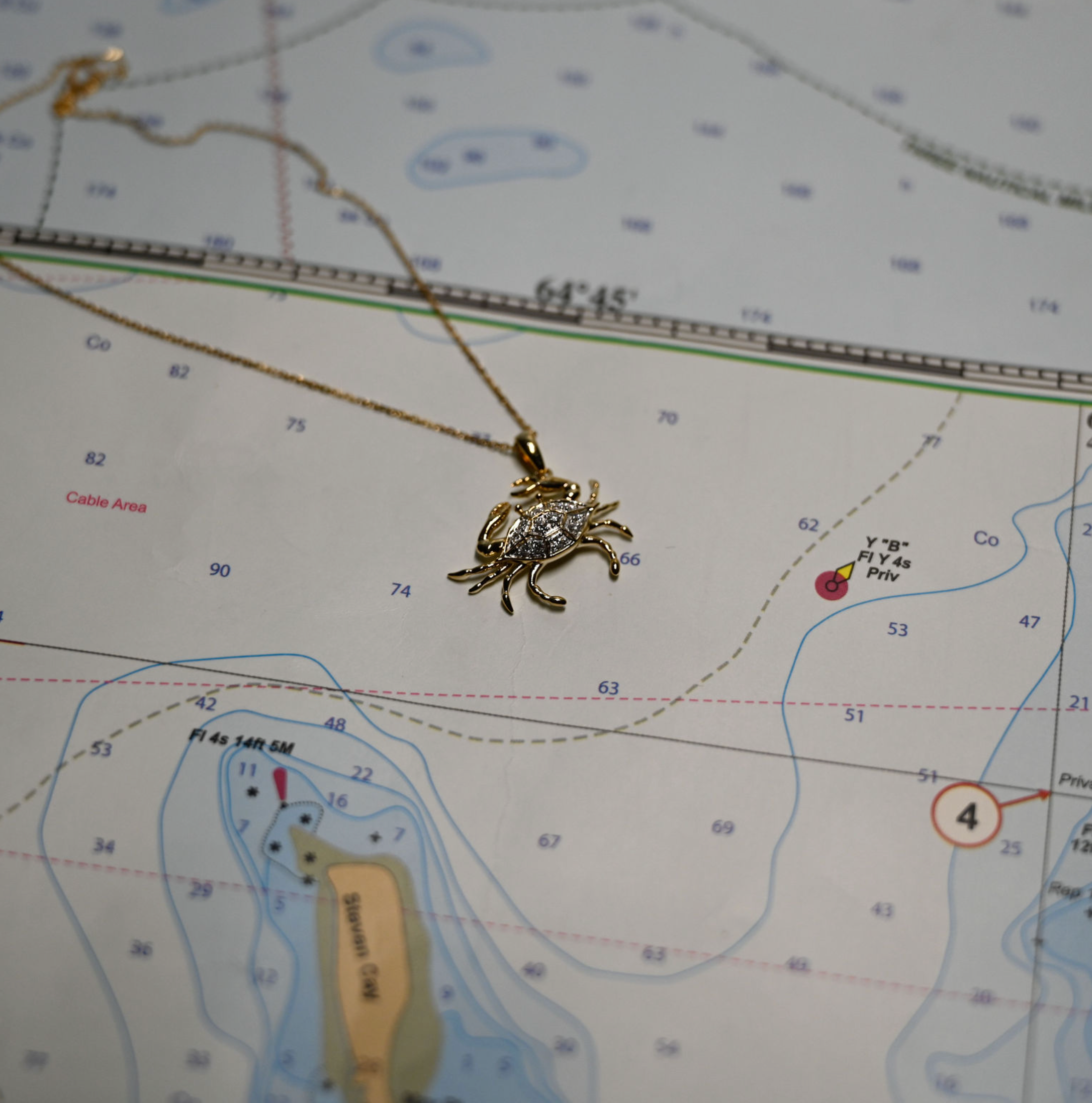 14kyg Lab Diamond Crab Necklace