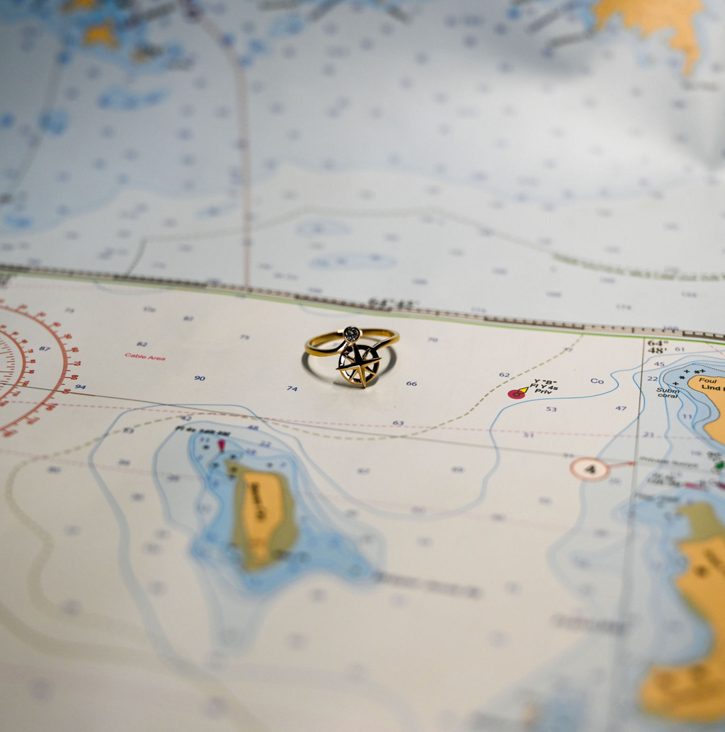 14kyg Lab Diamond Compass Ring