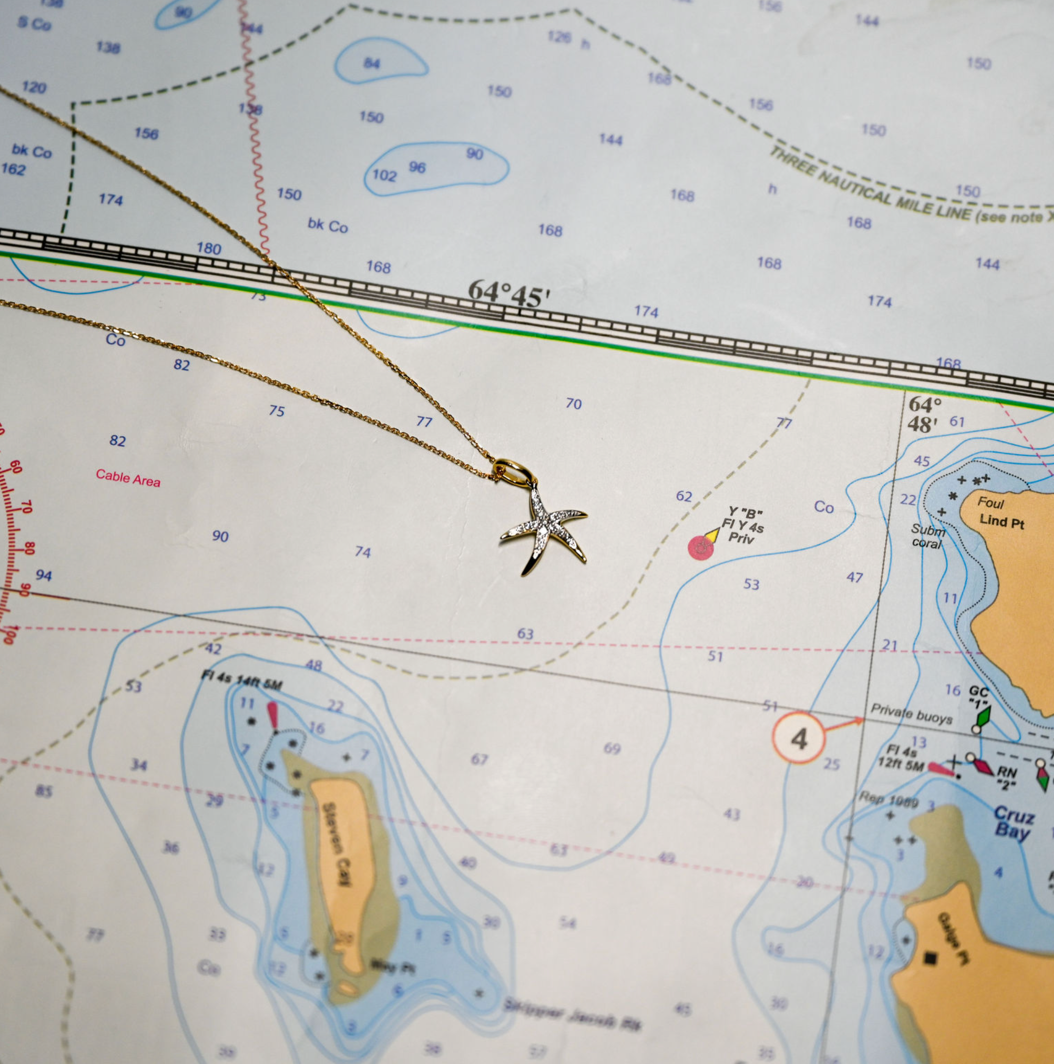 14kyg Lab Diamond Starfish Necklace