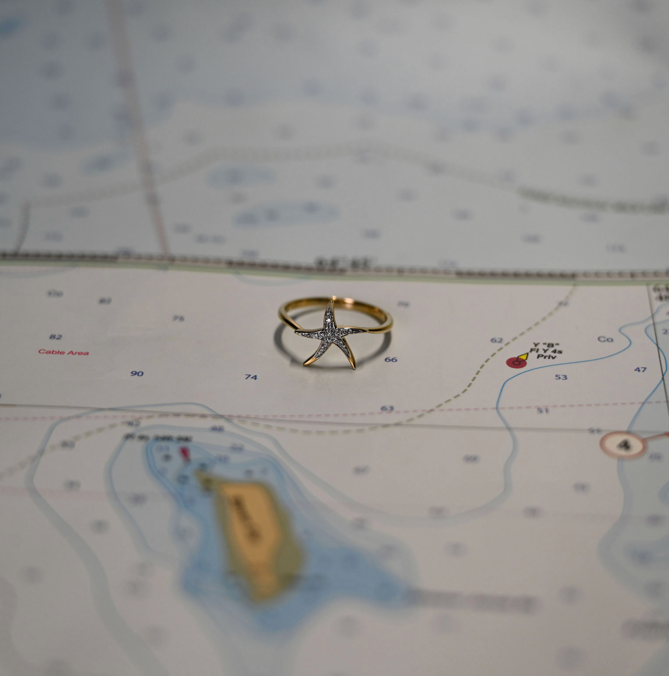 14kyg Lab Diamond Starfish Ring