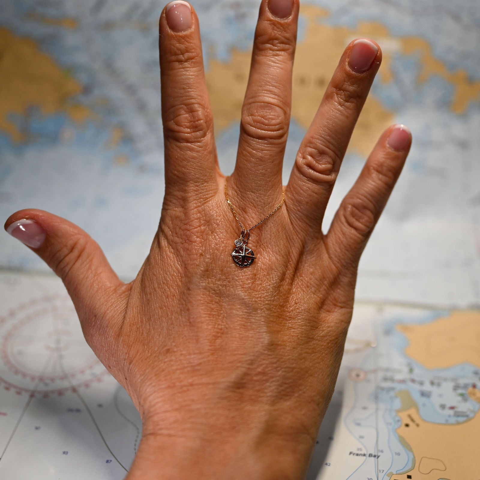 14kyg Lab Diamond Compass Necklace