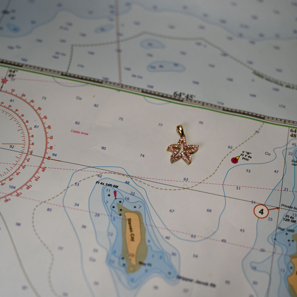 14kyg Starfish Pendant with 39 Pink Sapphires